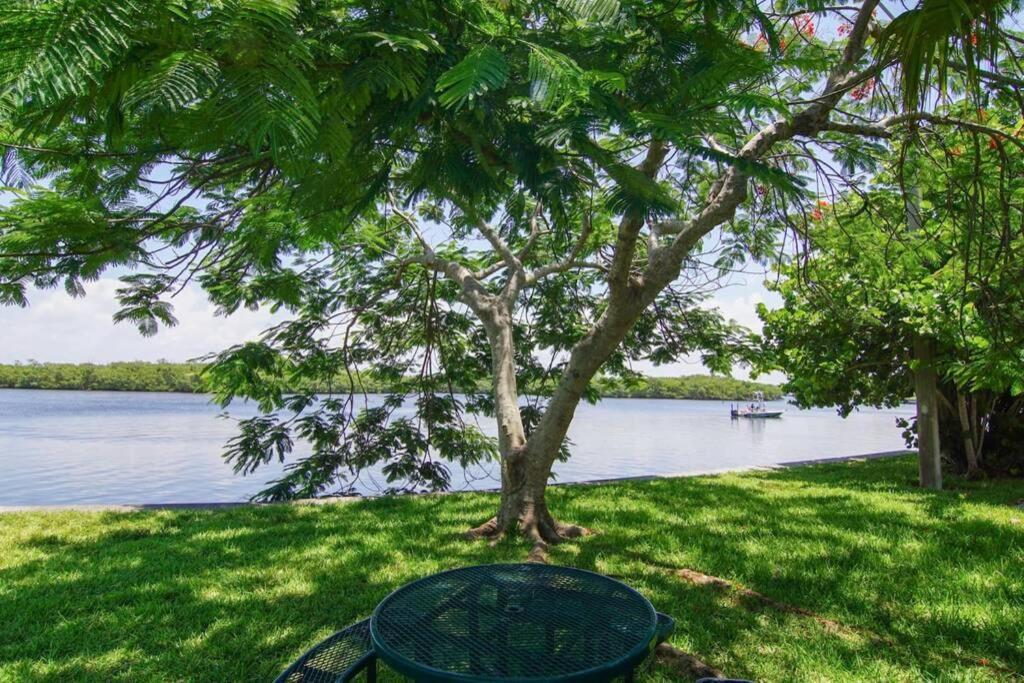 Little Harbor Resort #510 Tampa Bay Fl Beach, Hot Tub, Pools Ruskin Exterior photo